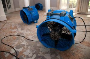 Blue industrial fans drying a room with wet carpet and hoses on the floor