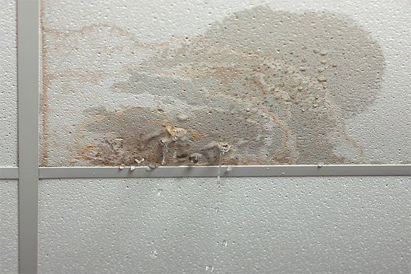 Water-stained wall with peeling paint and mold near a ceiling seam
