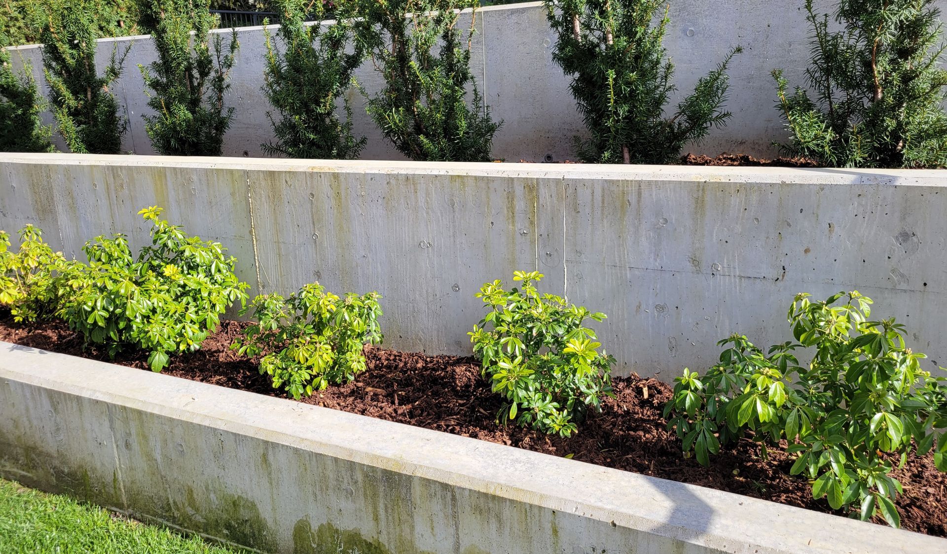 Poured Concrete retaining wall