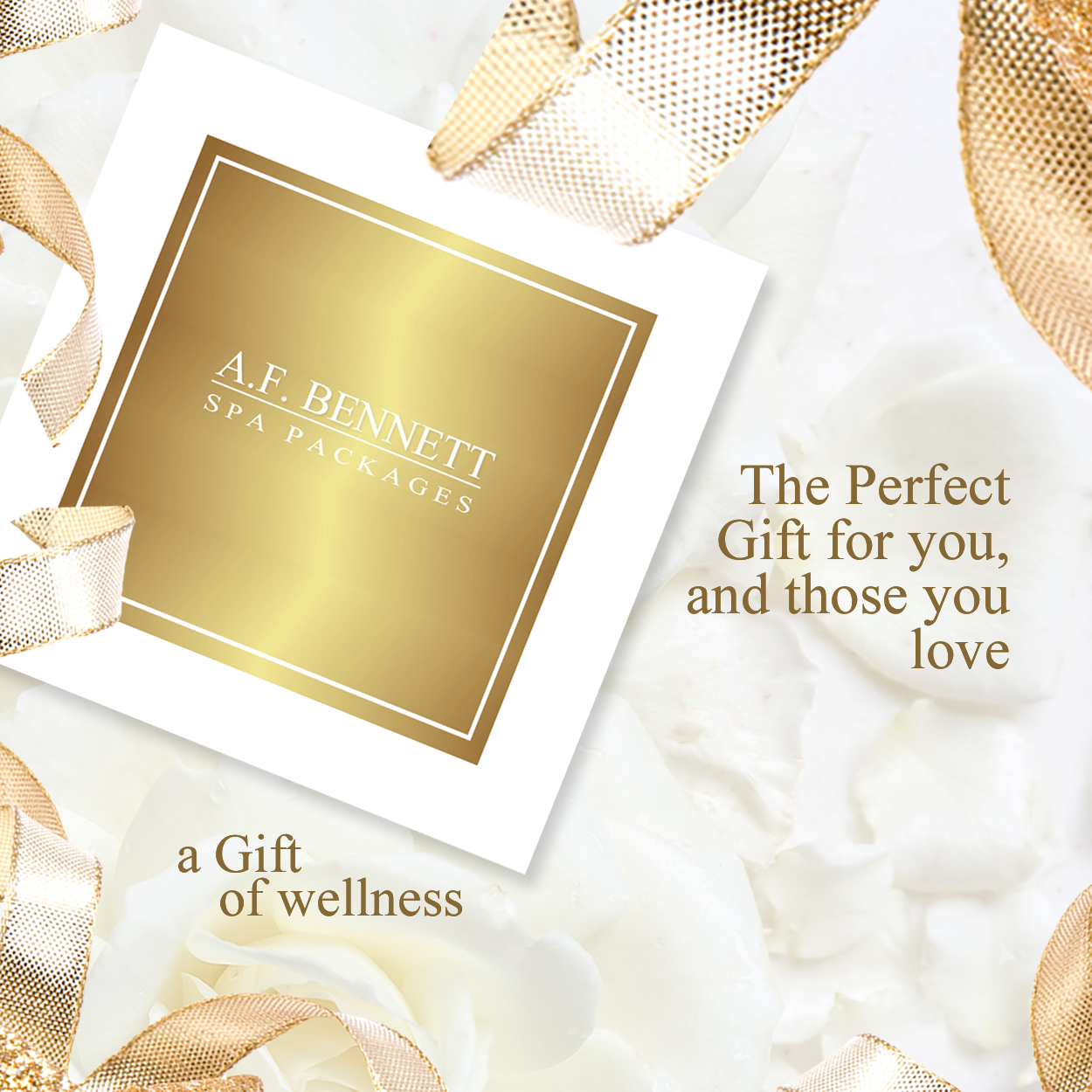 Hair Styling at A.F. Bennett Salon & Wellness Spa