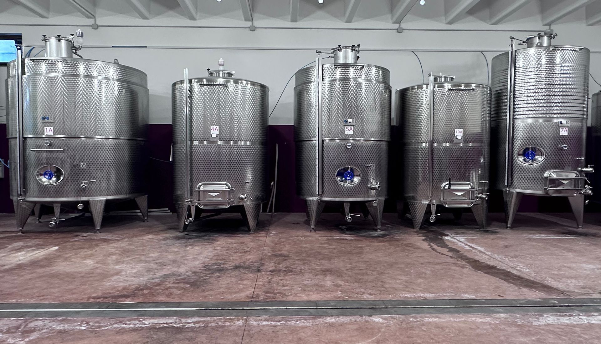 Cantina 600 Grotte, wine production