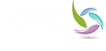 תימורה שפירא - לוגו