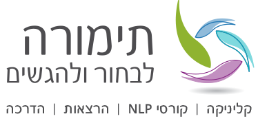 תימורה שפירא - לוגו