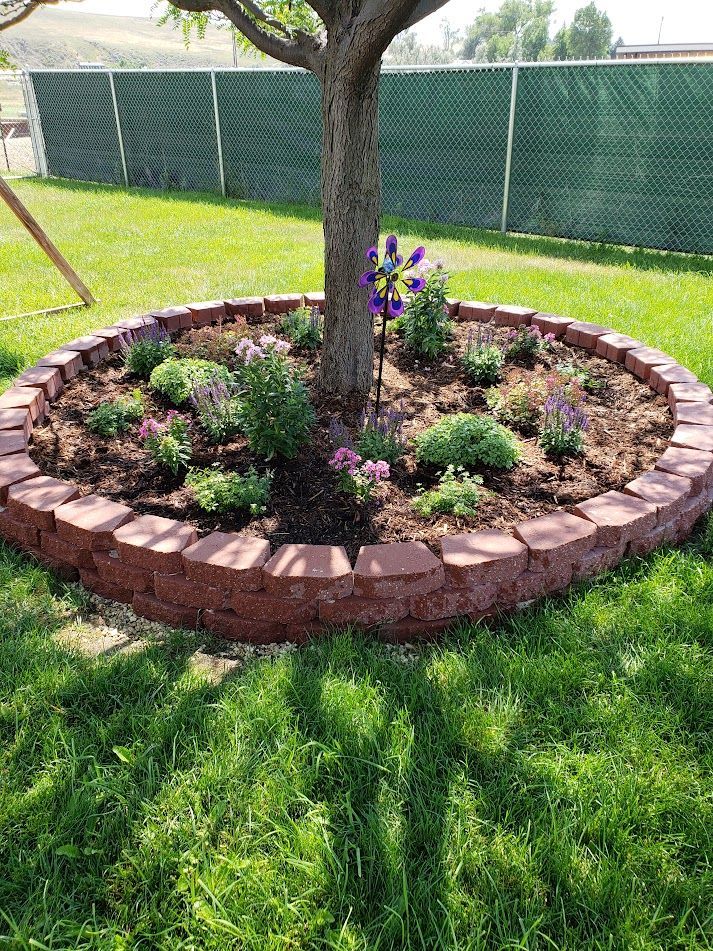 Circular flower bed with pink stone border around a tree in a green lawn, planted with purple flowers and shrubs