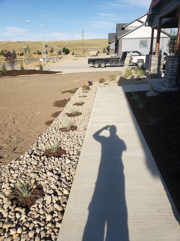 Concrete walkway beside rock landscaping and a yard, with a long shadow in bright sunlight.