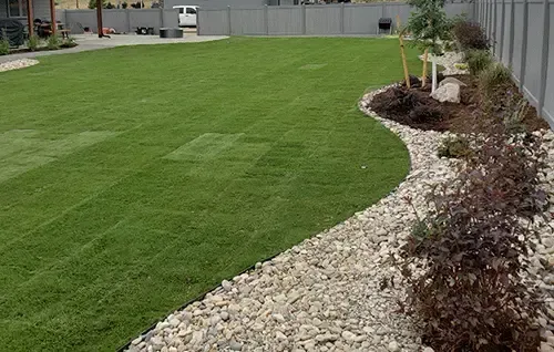 Manicured green lawn beside a stone mulch border and shrubs along a fenced yard