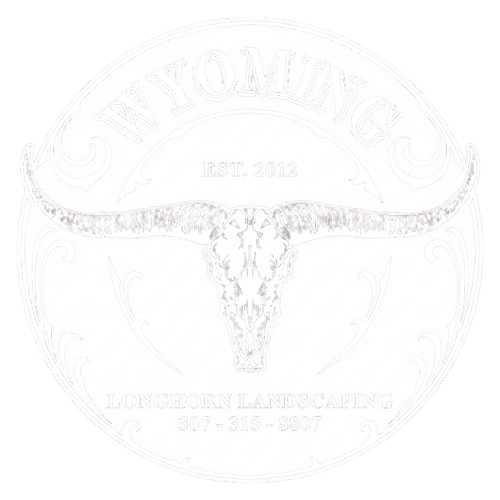 Round white logo with a longhorn skull and faded text, including &ldquo;EST 2012&rdquo; and &ldquo;Longhorns.&rdquo;