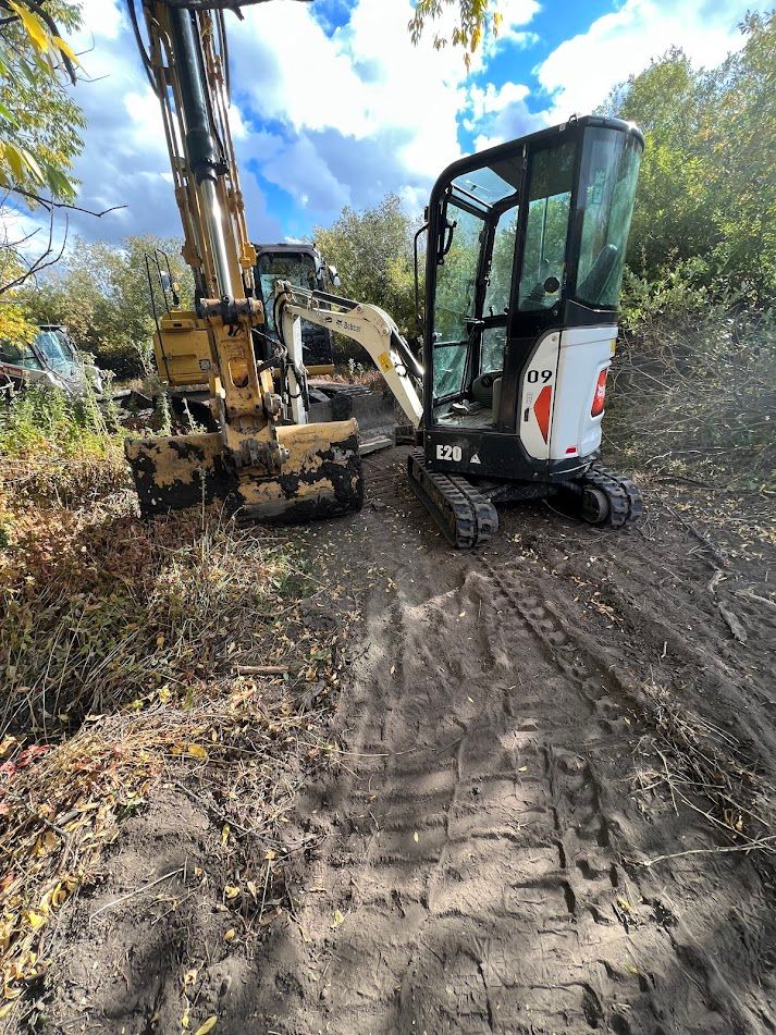 Small excavator and tracked machine working on a muddy forest trail under a bright sky.