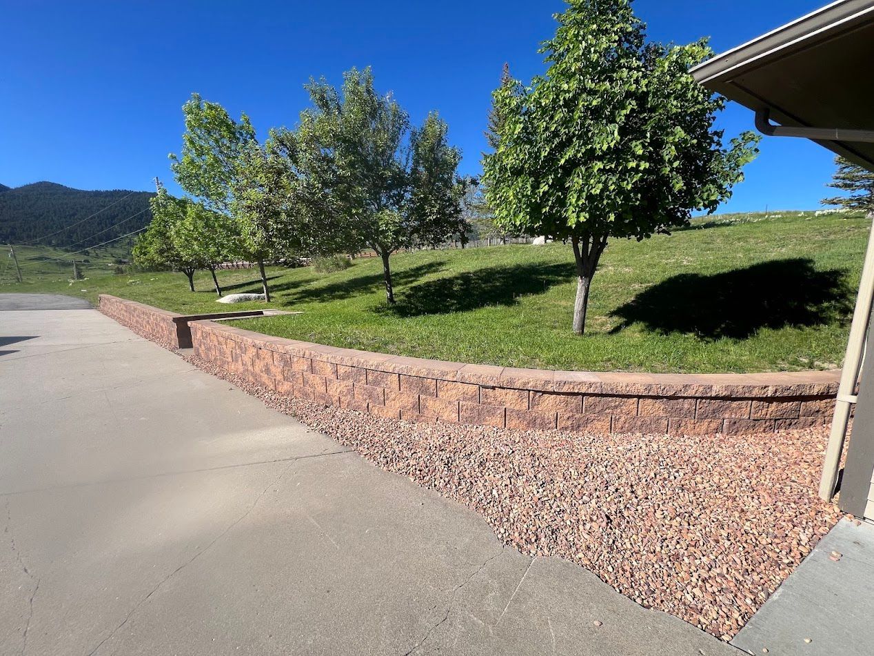 Grassy hillside with young trees, stone retaining wall, and paved path under a blue sky.