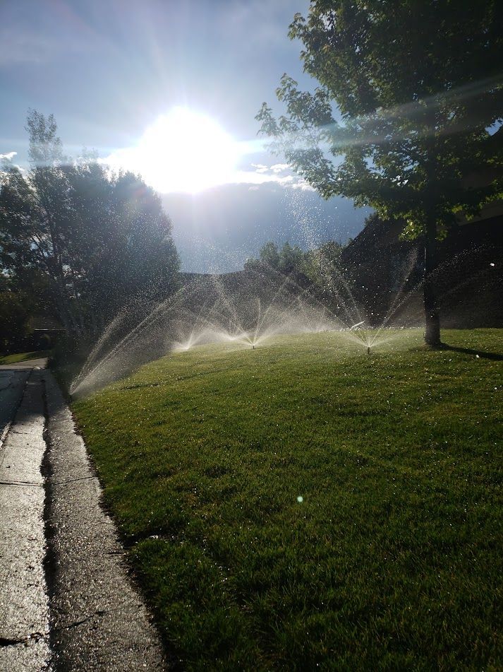 Sprinklers spraying water across a sunny grassy park beside a sidewalk and trees