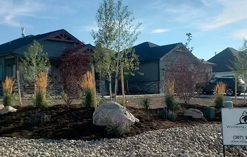 Landscaped suburban homes with young trees, gravel, and a large rock in a front yard under a clear sky