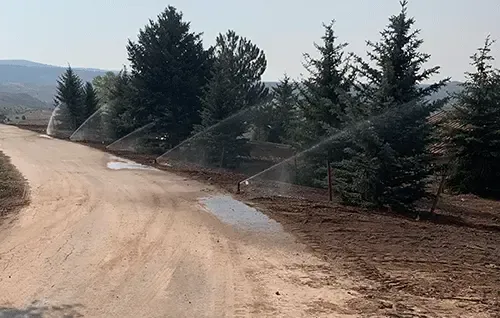 Dirt road beside evergreen trees with water sprinklers spraying across the roadside
