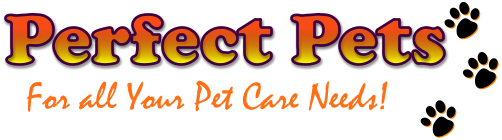 Pet Shop In Kingaroy Pet Shop In Kingaroy