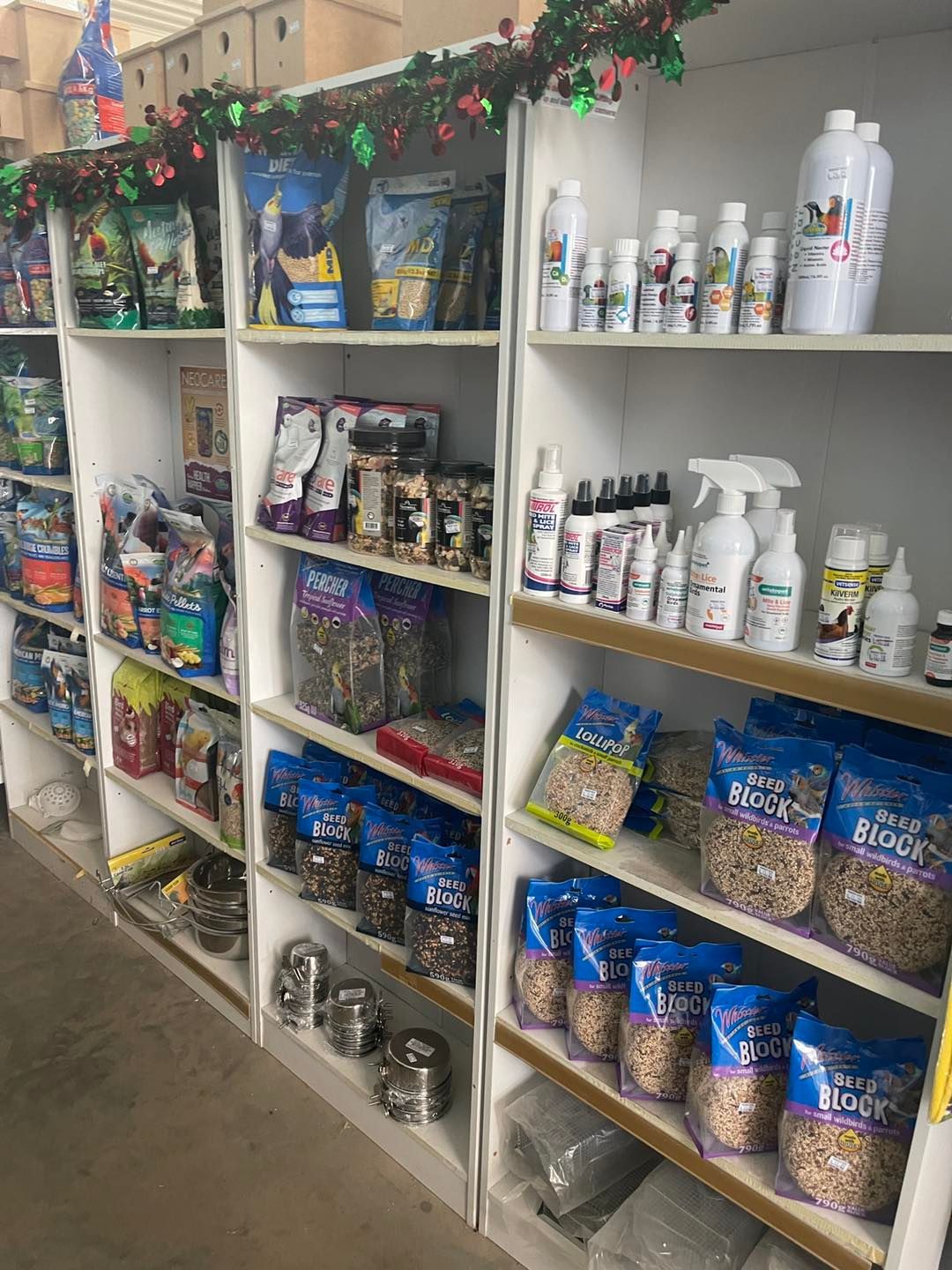 Two Colorful Parrots Are Sitting in a Cage — Perfect Pets Kingaroy Professional Dog Grooming in Kingaroy, QLD