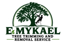 Tree Service in Texas City, TX | E Mykael Tree Trimming And Removal Service Tree Service in Texas City, TX
| E Mykael Tree Trimming And Removal Service