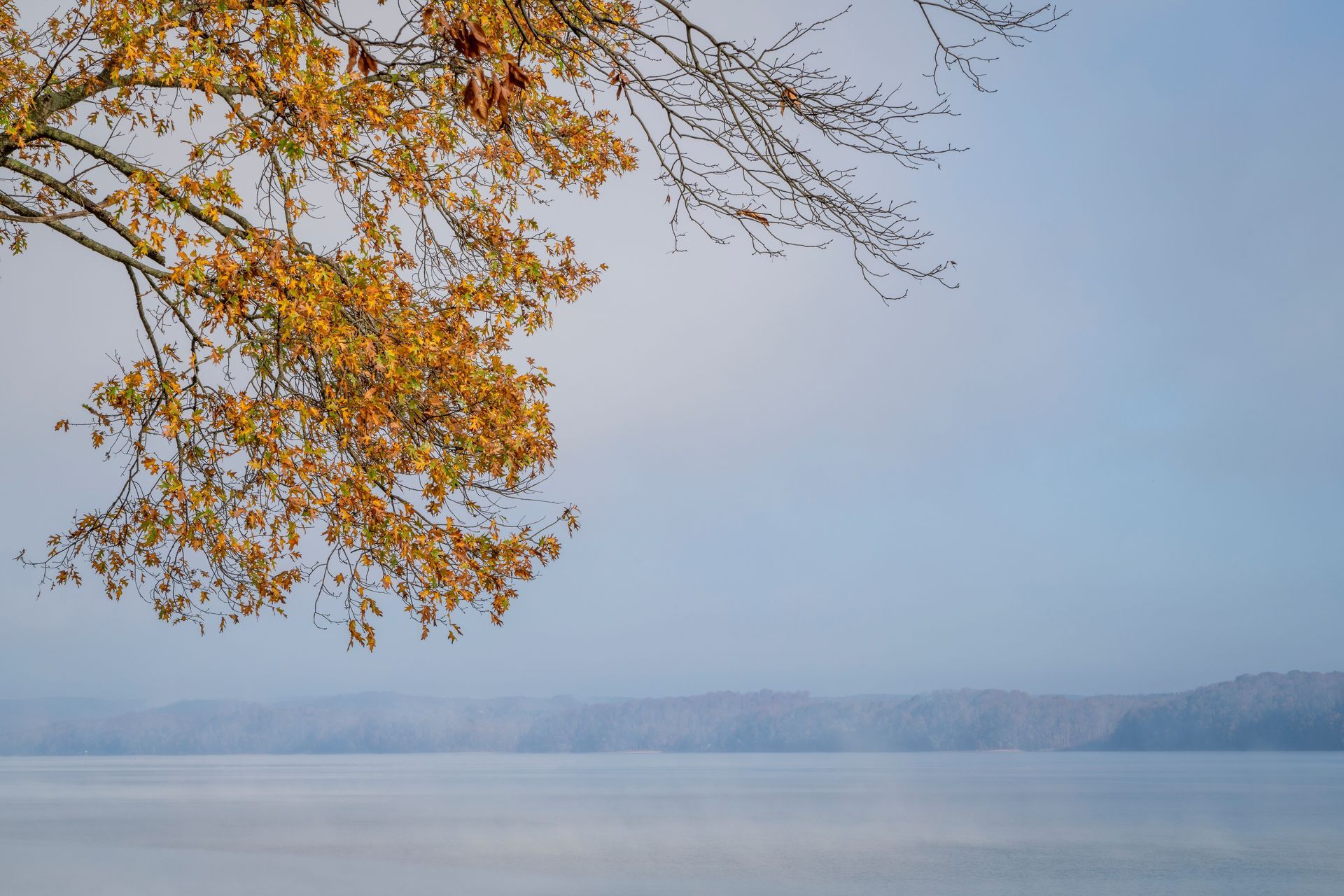 Autumn tree branches over a calm lake under a pale blue sky