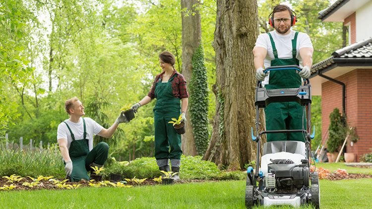 Three people gardening: one mows the lawn, two plant flowers. Green outfits, sunny garden setting.