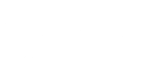 The Wynergy Group Logo