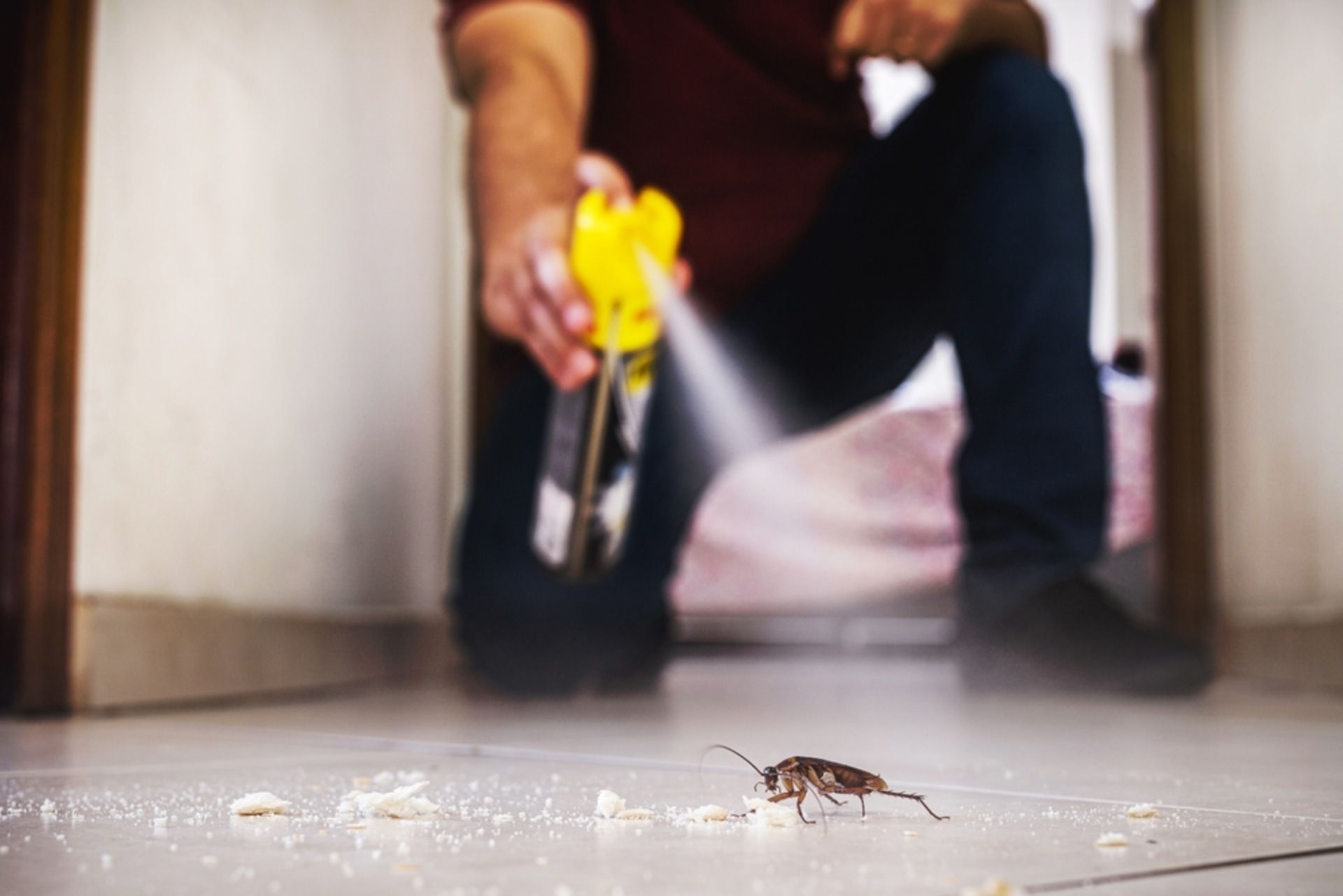 Un uomo spruzza uno spray anti-scarafaggio su un pavimento piastrellato; l'uomo è inginocchiato in un ingresso.