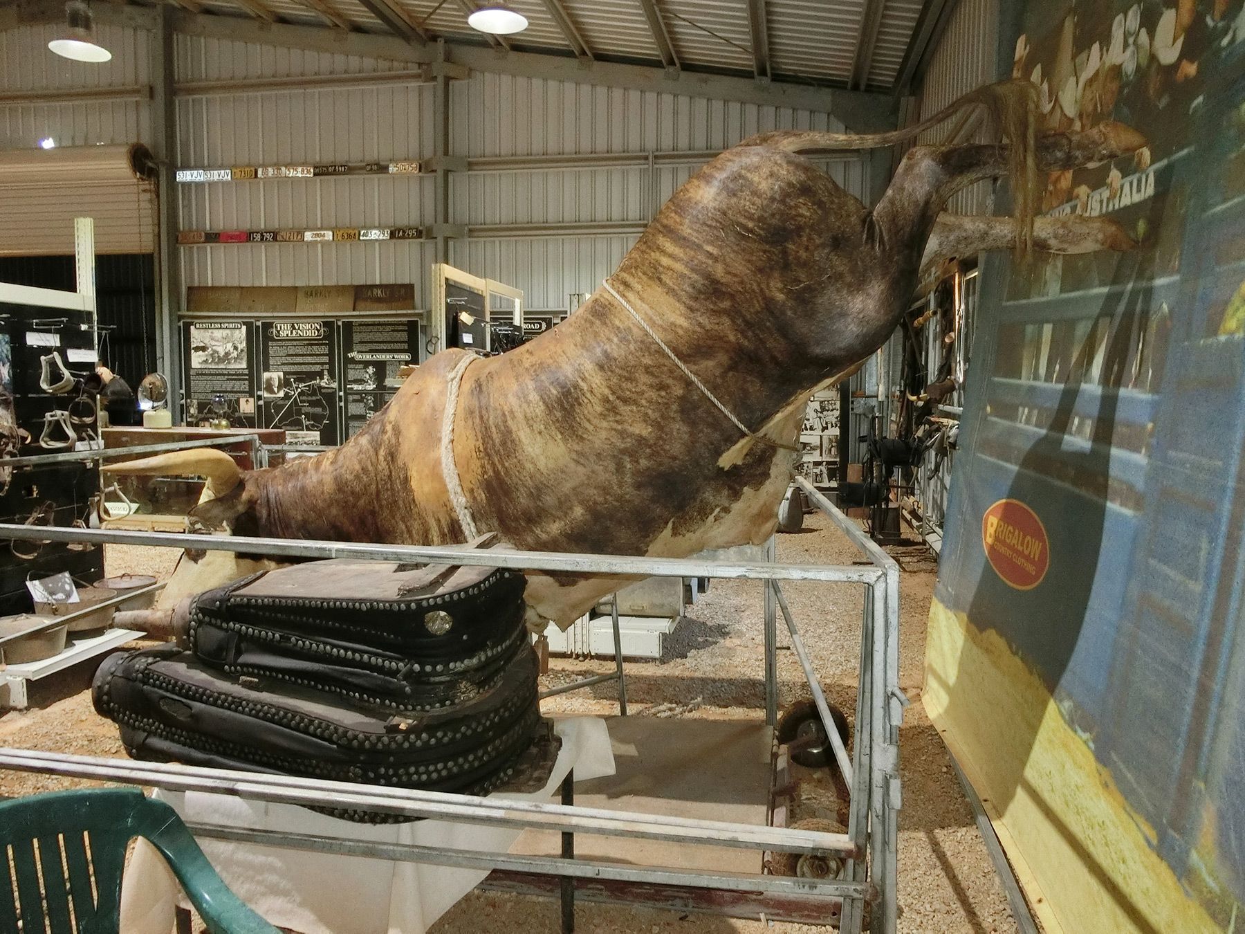 Brown horse leaping over a fence inside an indoor arena