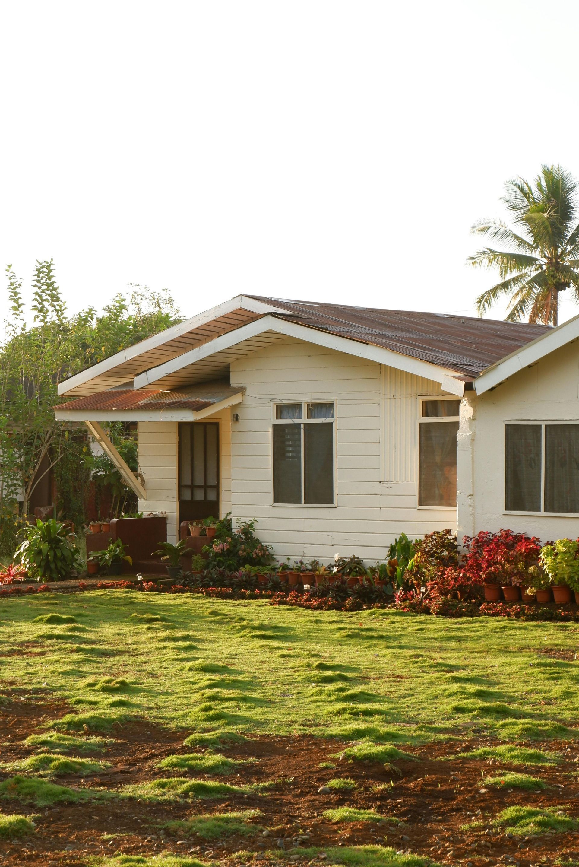 White house with brown roof and windows, set in a grassy yard with red and green bushes.