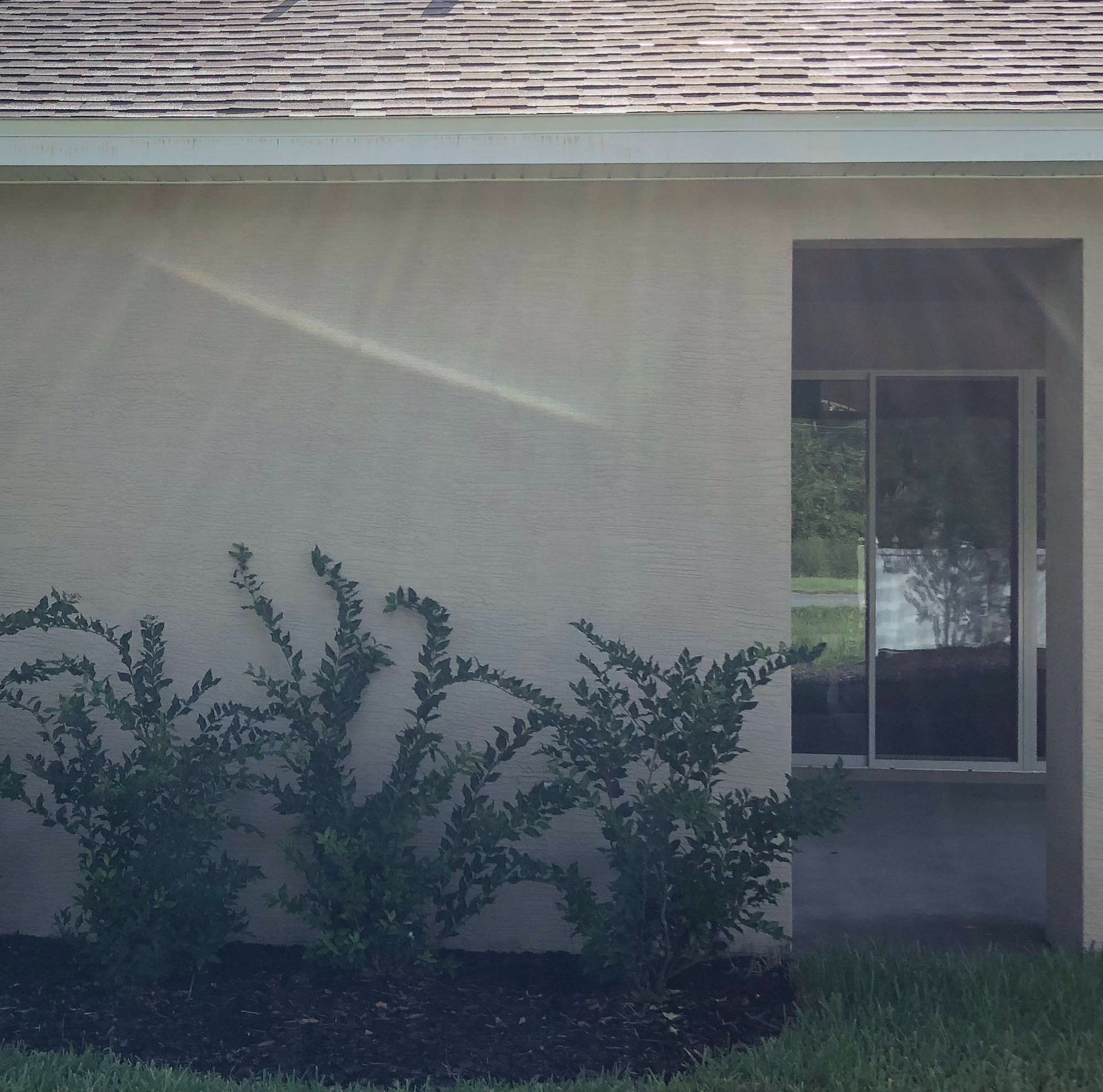 White stucco house wall with a narrow window and shrubs along the base in bright sunlight