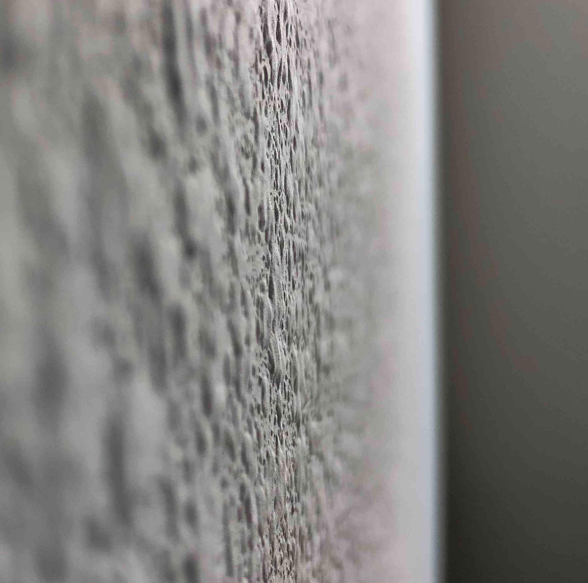 Close-up of a textured gray wall surface with a shallow depth of field