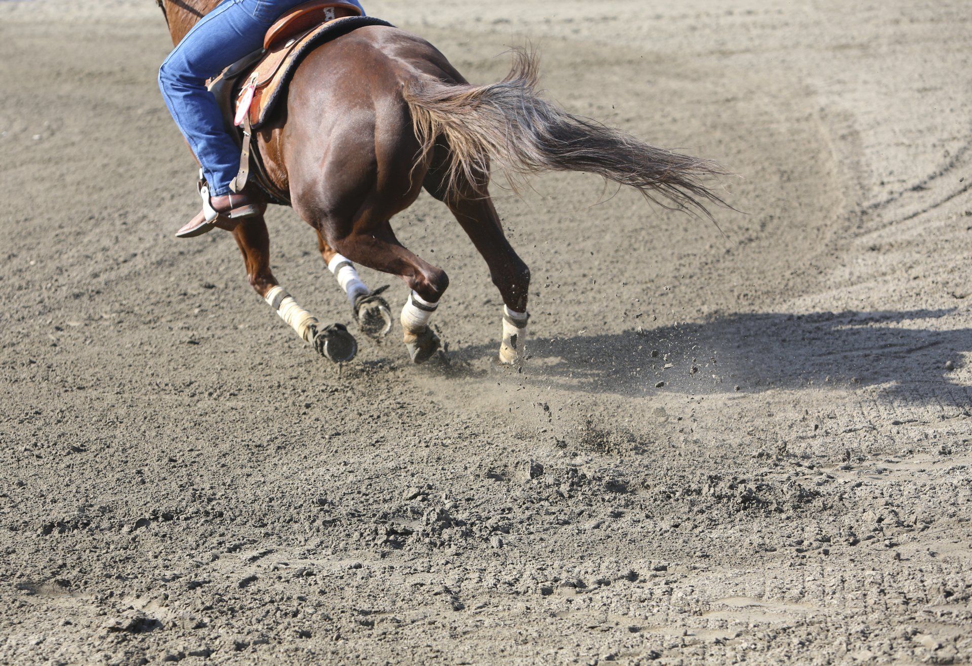 weggalopperend paard met man in spijkerbroek op de rug