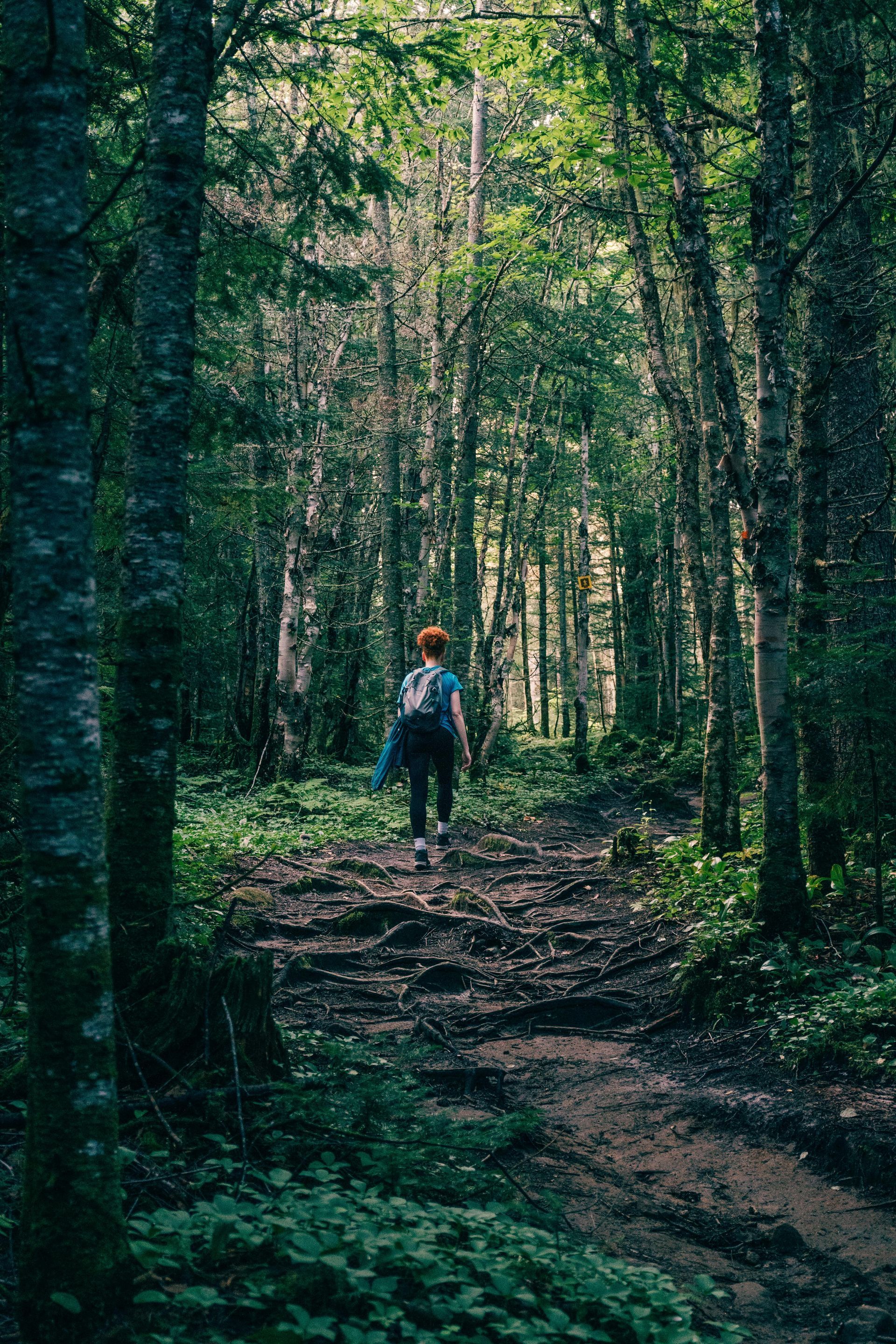 Person walking on a dirt path through a lush forest, surrounded by tall trees and greenery, finding relief from anxiety and stress.