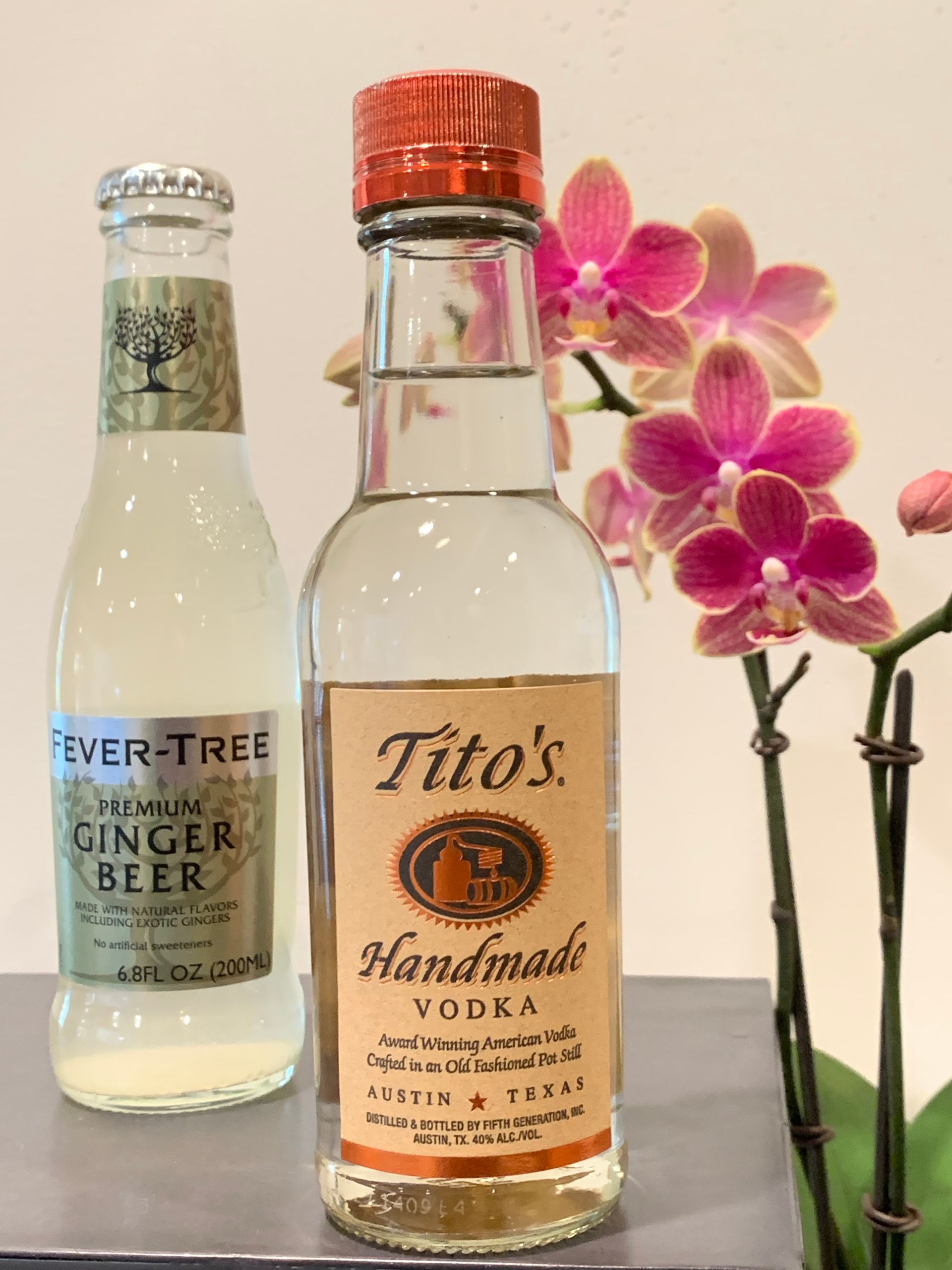 Vodka and Ginger Beer - The Dylan Hotel at SFO Millbrae