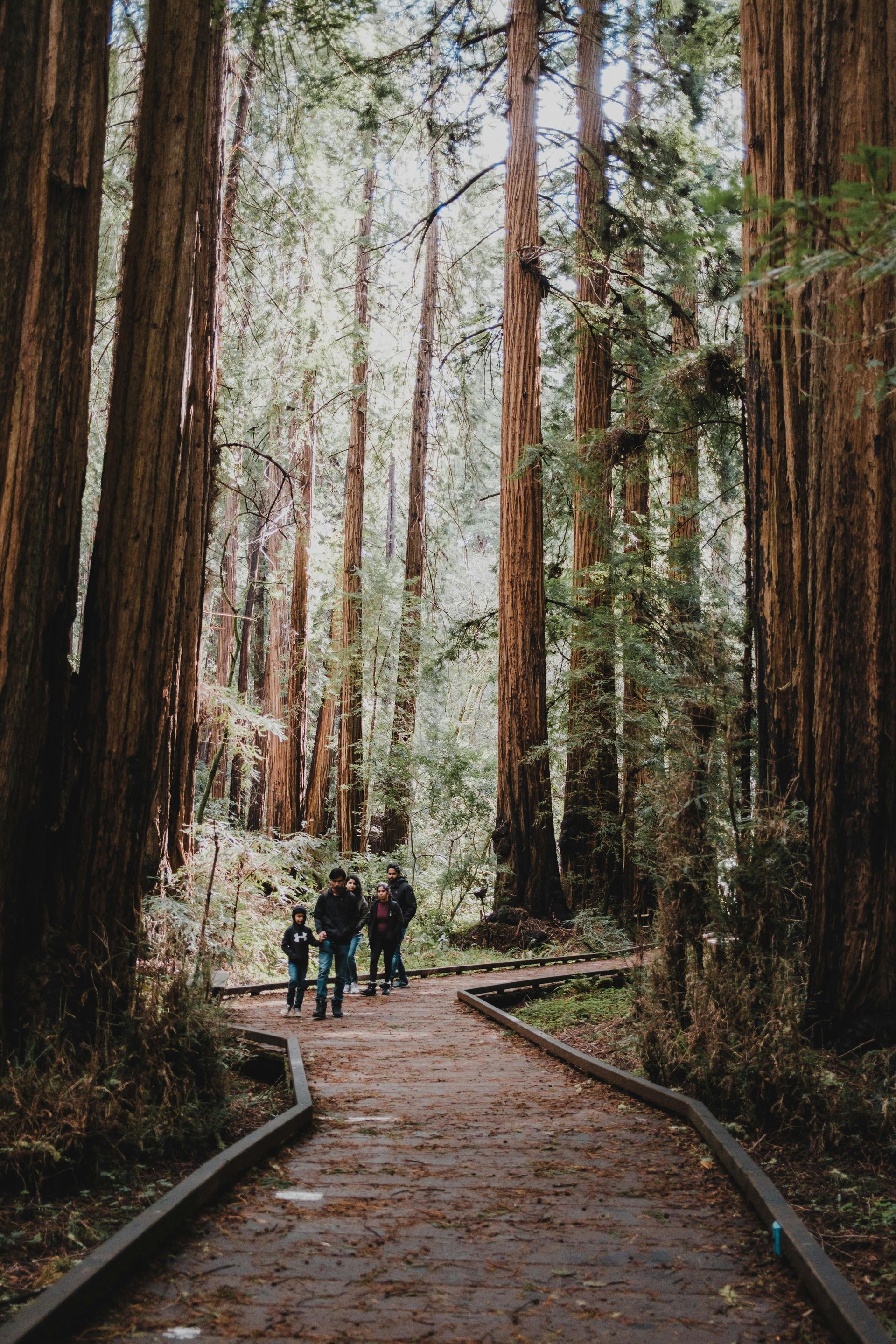 Marin County