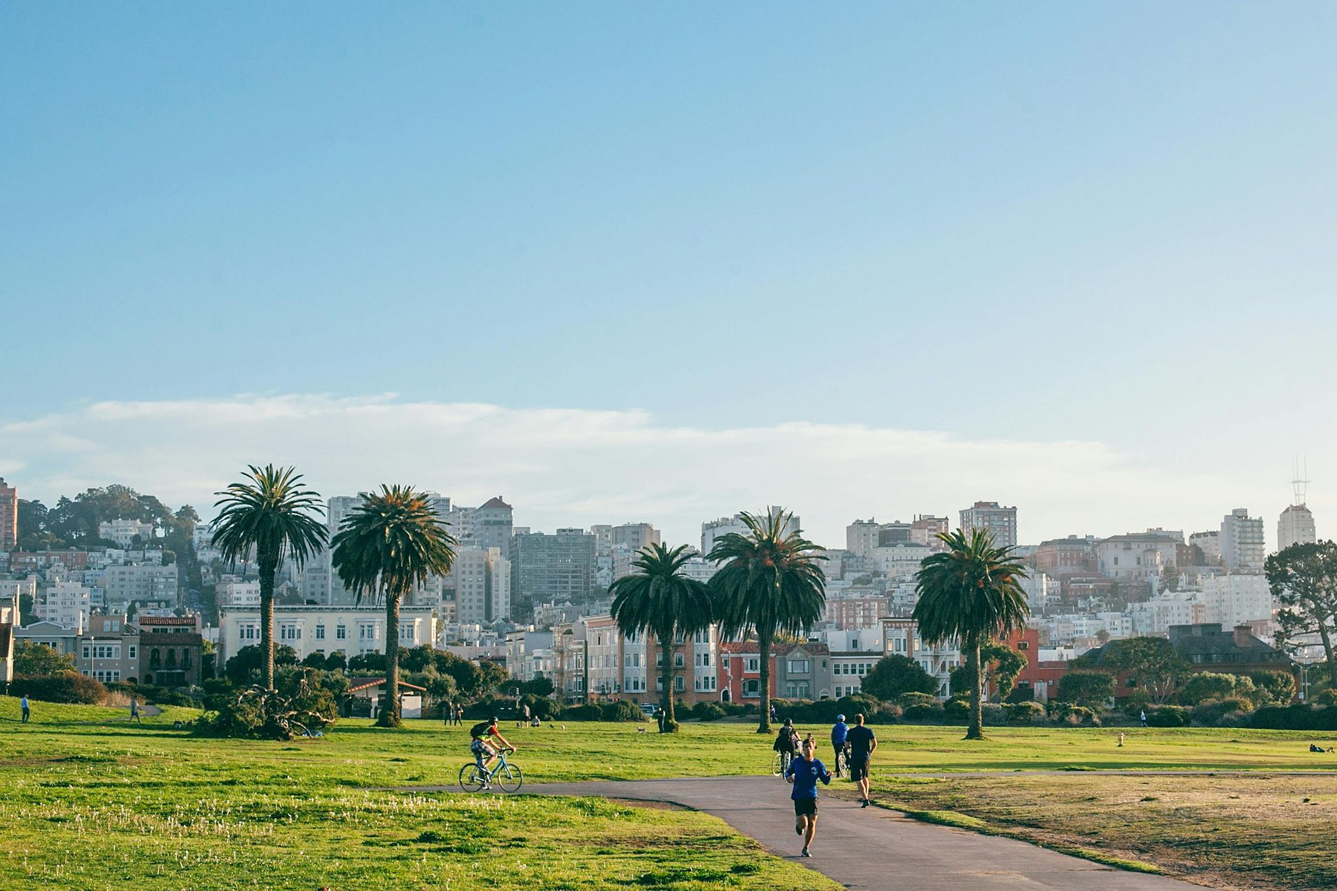 Parks & Leisure