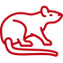 Red outline of a rat with a long tail.