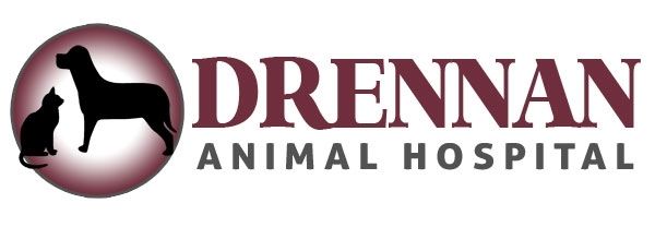 Drennan Animal Hospital