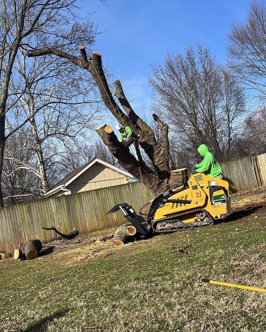 Tree being cut with a small yellow machine and two workers wearing green protective suits.