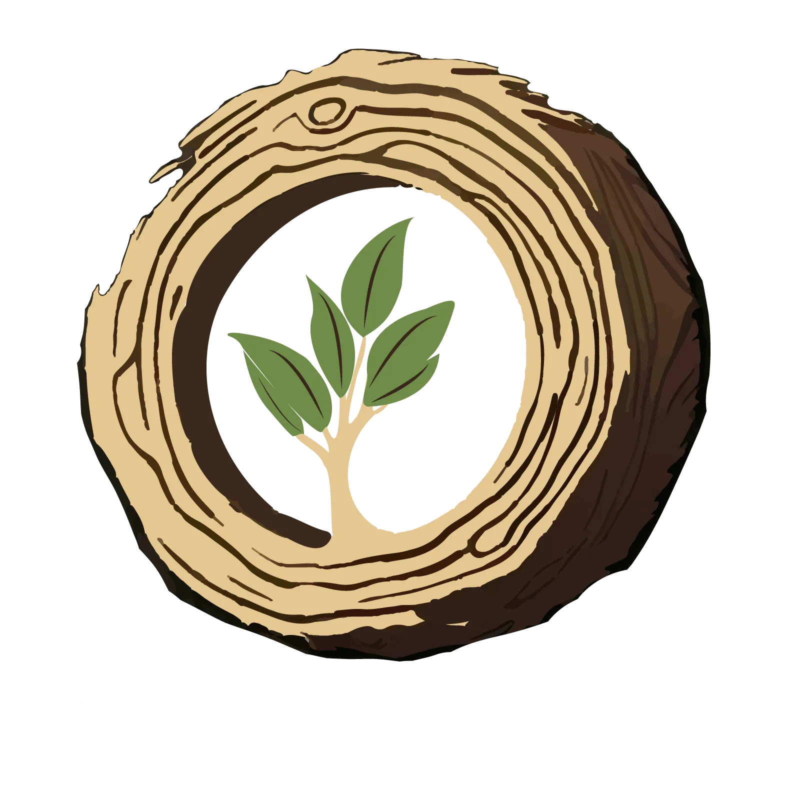 Cross-section of tree trunk surrounding a small tree with green leaves.