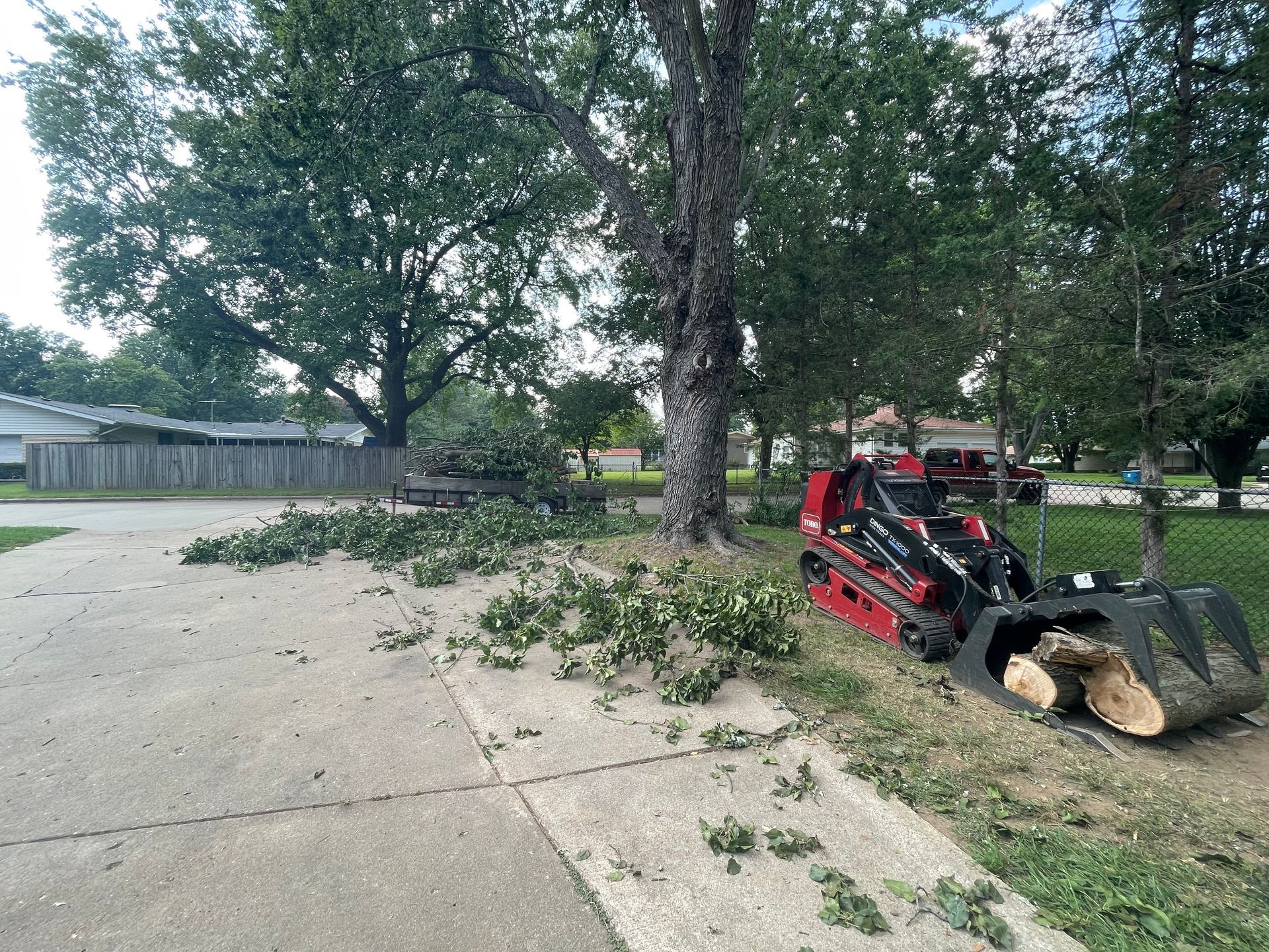 A small, red skid steer with wood in the bucket near a large tree with cut branches on a driveway.
