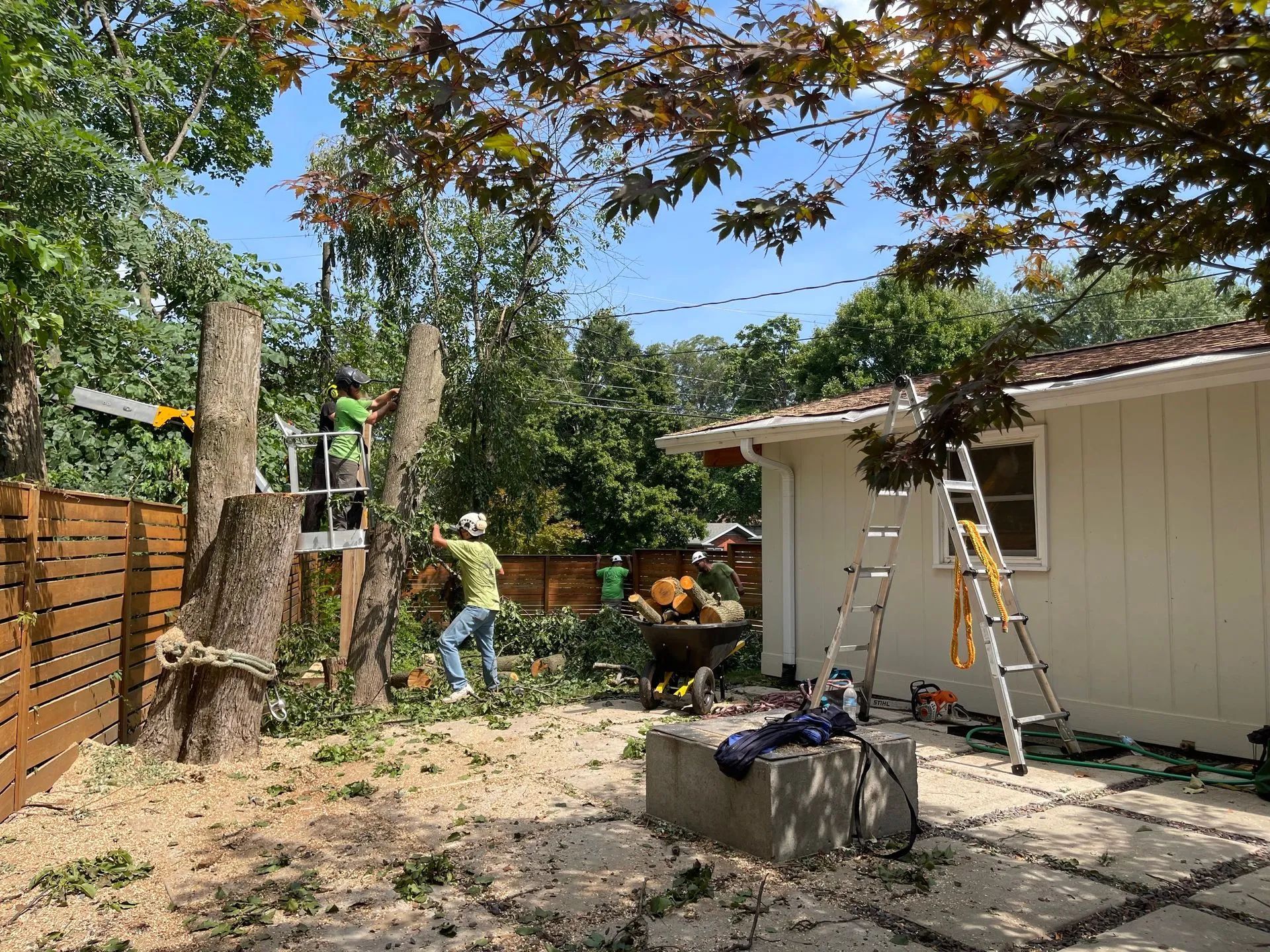 Tree removal in backyard: workers in harnesses, using saws and lift, near house and wooden fence on a sunny day.