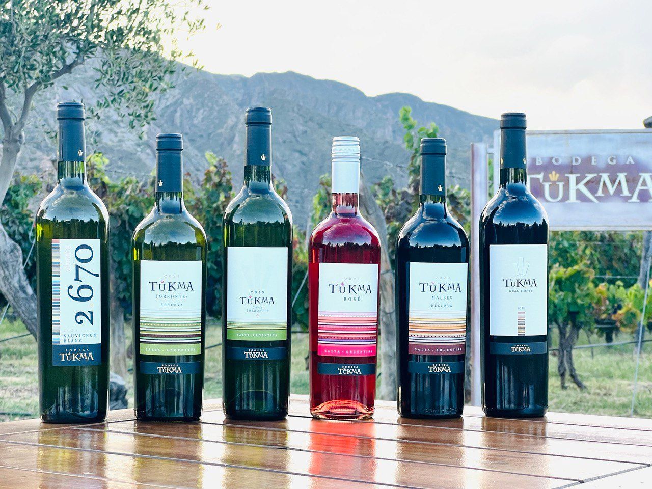 Seis botellas de vino están alineadas sobre una mesa de madera.