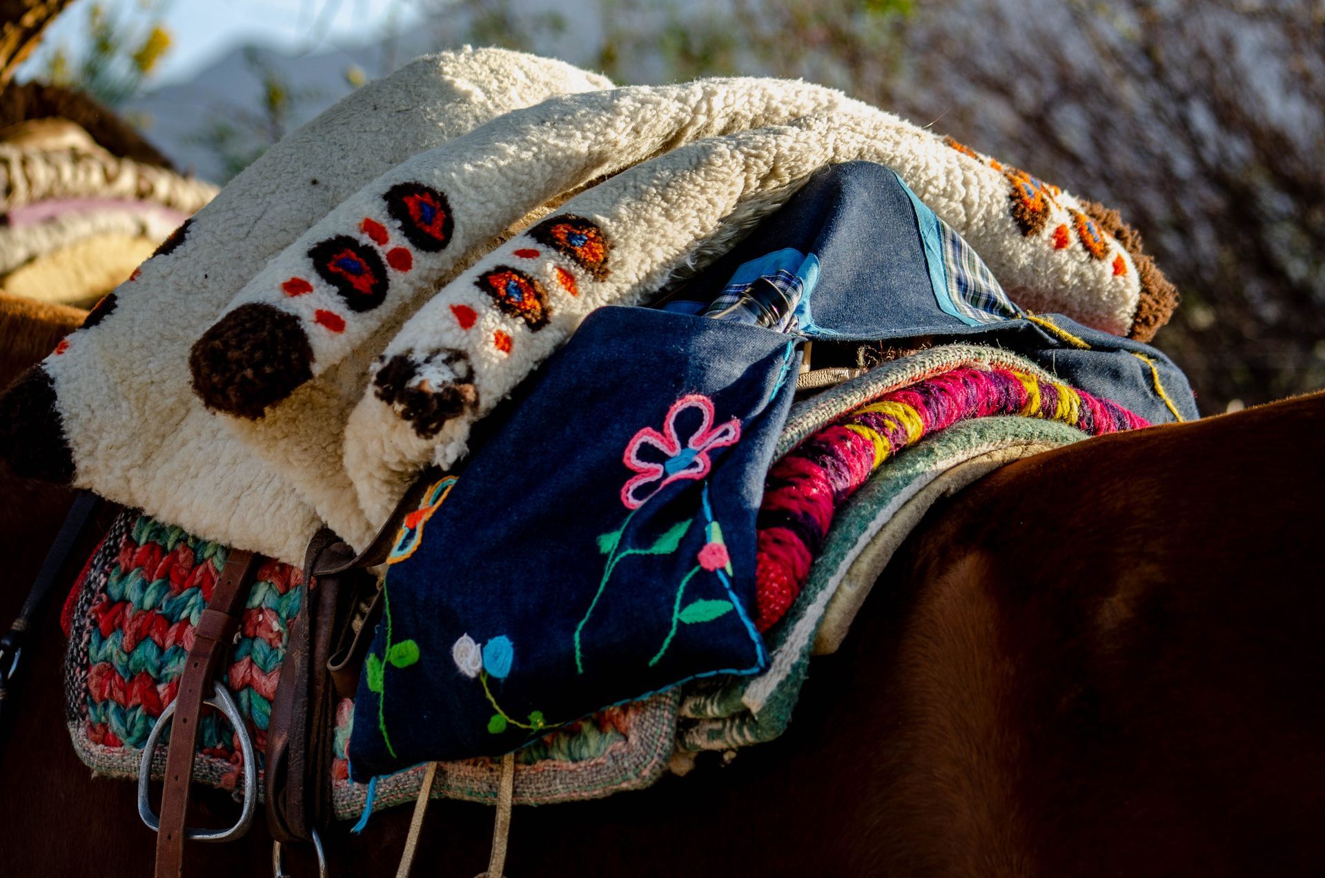 Un primer plano del lomo de un caballo con mantas encima.
