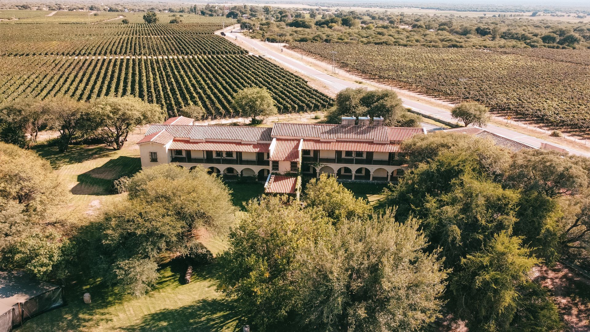 Una vista aérea de una casa en medio de un viñedo.