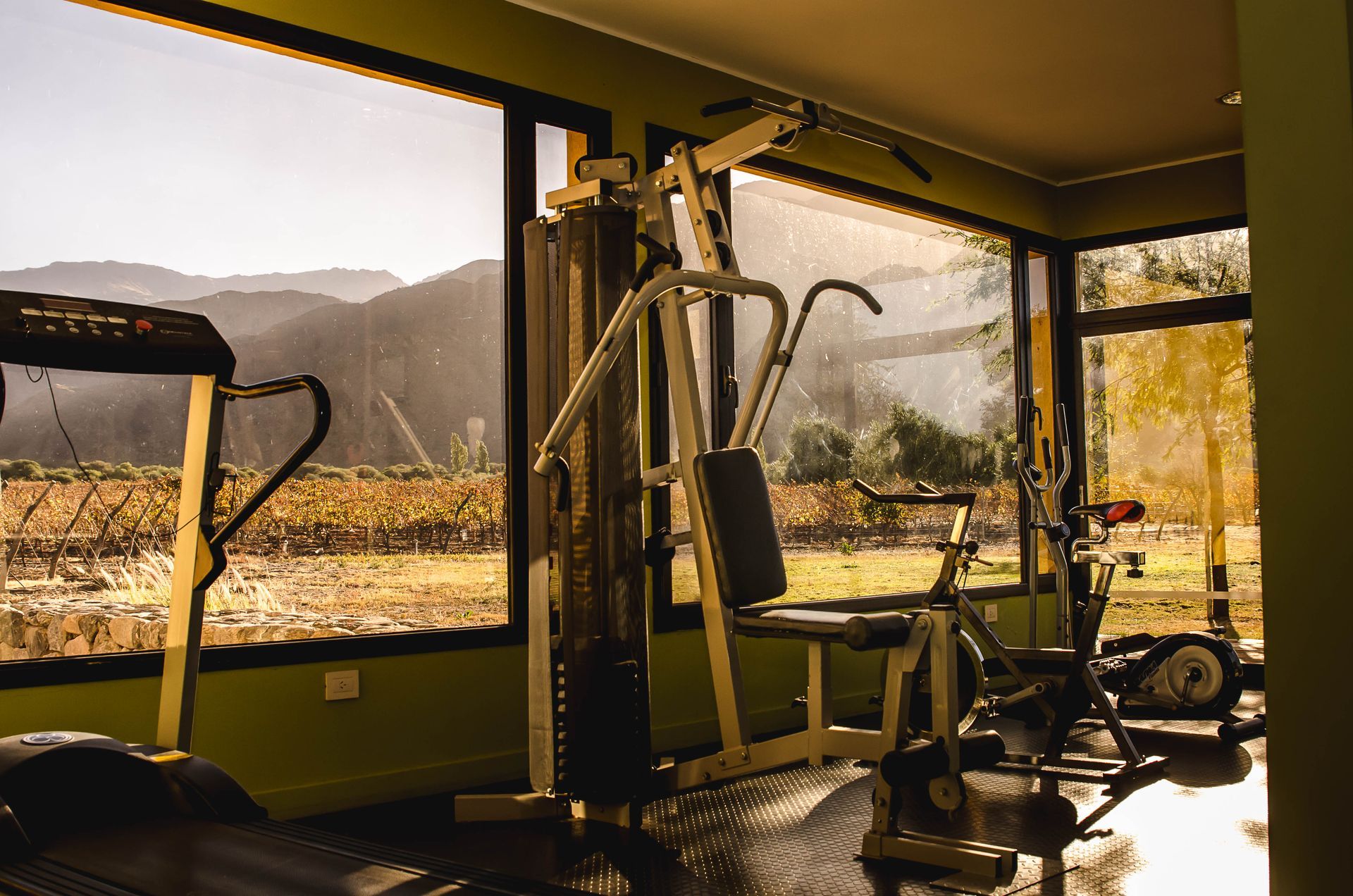 Gimnasio