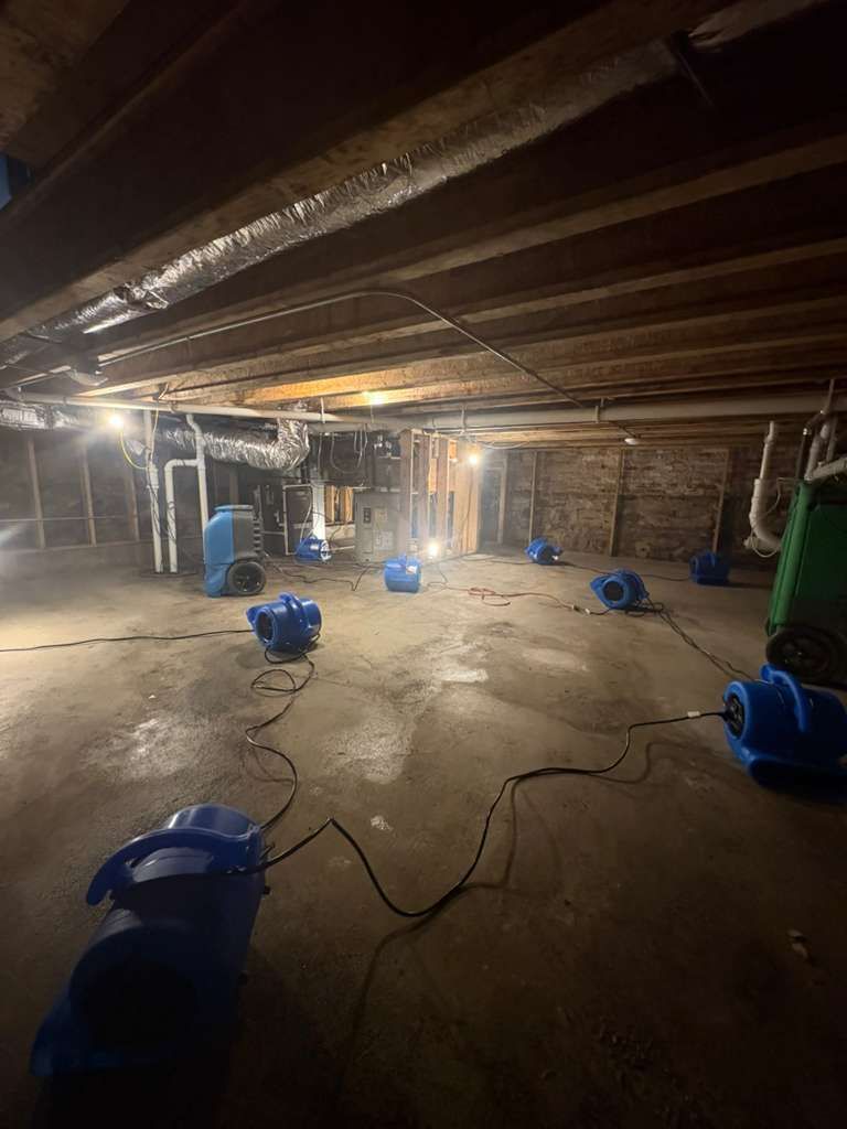 Dim basement with several blue fans, exposed ceiling beams, and cords on a concrete floor.