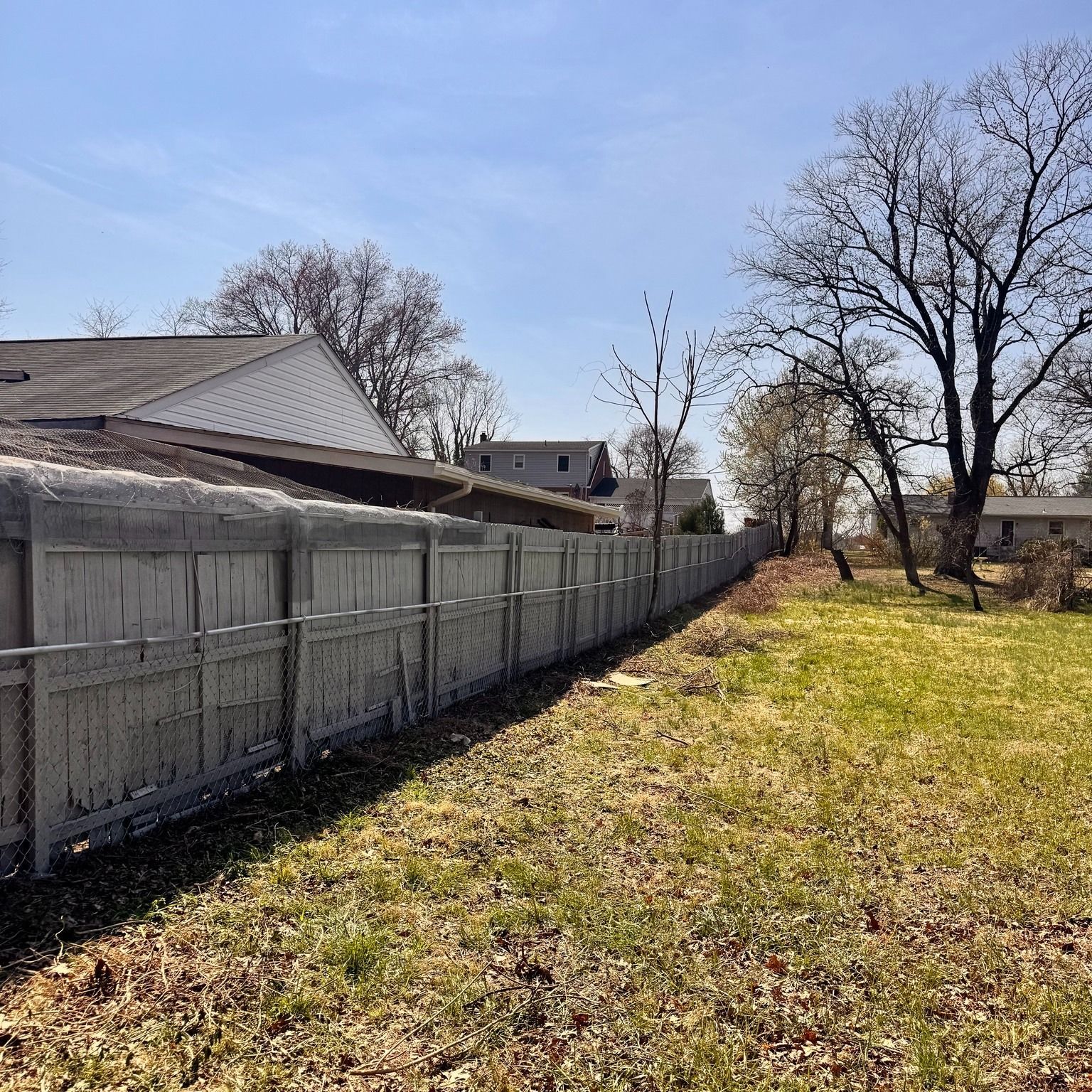 Sunny backyard with a long wooden fence, leaf-covered grass, and bare trees beside a house