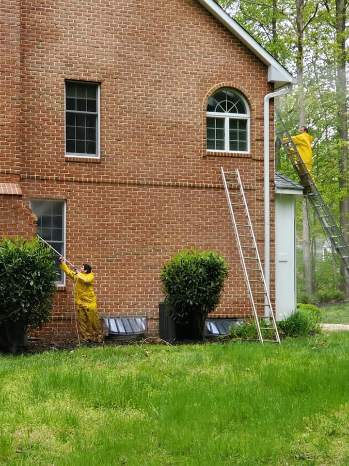 Person in yellow near brick house with ladders, tree trimming in progress.