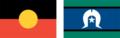 A red, yellow, and black flag next to a blue and green flag.