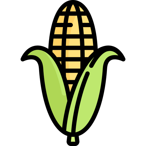 SAN POMPÍN EL SANTO MERCADO - 