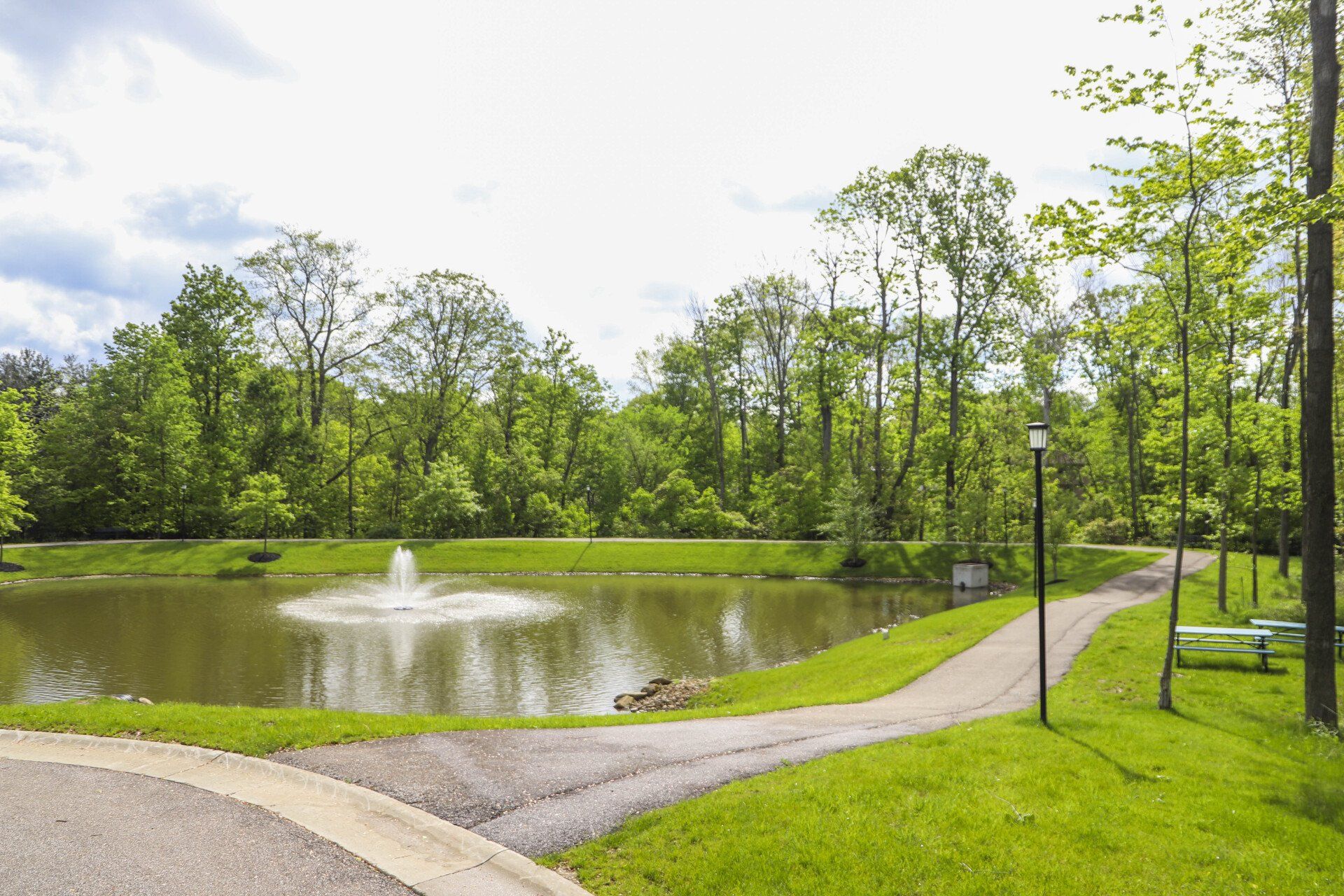 pond