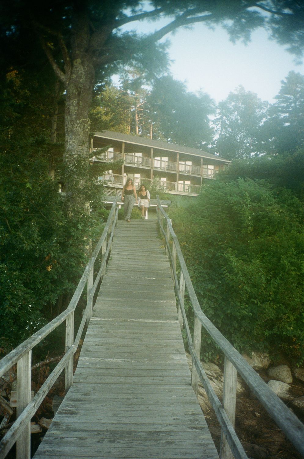 Wooden walkway leading to a multi-story building surrounded by trees and foliage.