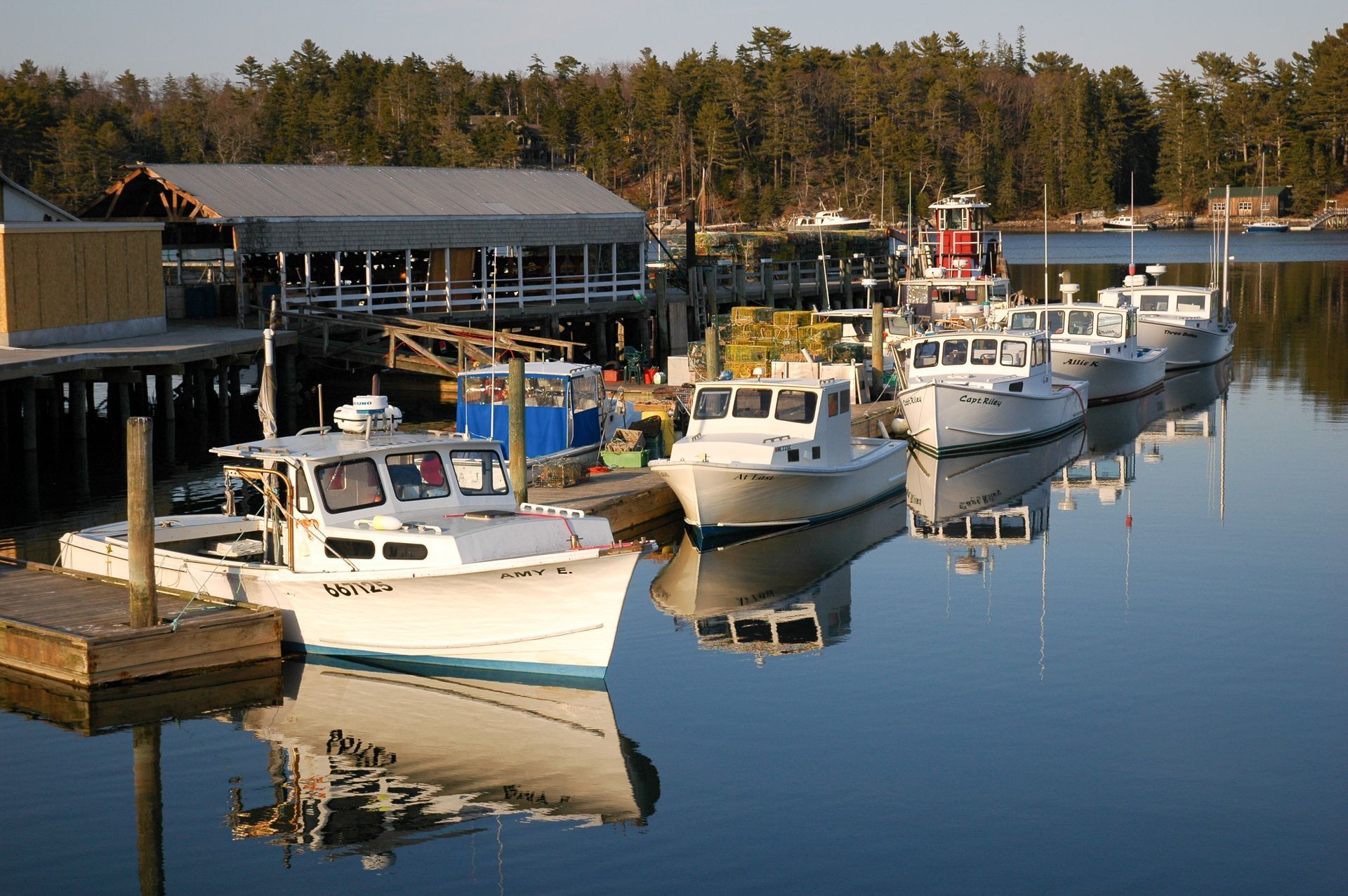 Boats docked at a pier, reflecting in calm water, with a restaurant and trees in the background.